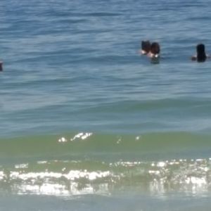 Meet your Posher, Gina